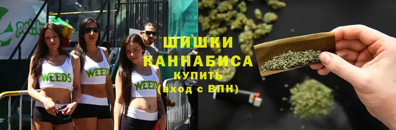 Шишки марихуана THC 21%  Электрогорск 